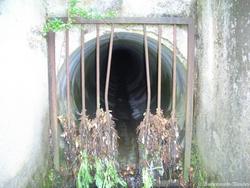 CIMG0449