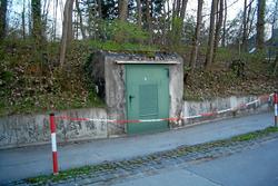 CIMG7135.jpg