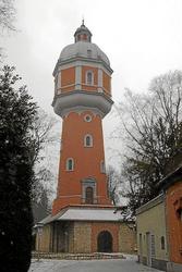 IMG_4129.jpg