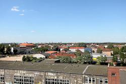 100_8081.jpg