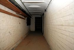 100_8113.jpg
