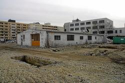 IMG_1392