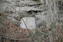 IMG_7900.jpg