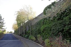 105_0091.jpg