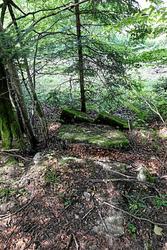 105_4619.jpg