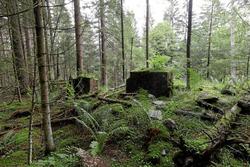 105_4801.jpg