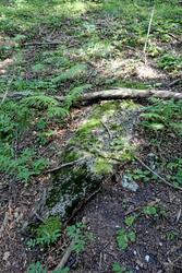 105_4664.jpg