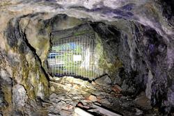 IMG_3922
