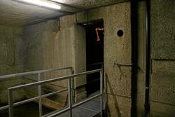IMG_1567