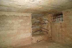 IMG_1770