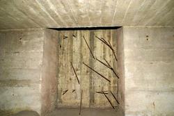 IMG_1767