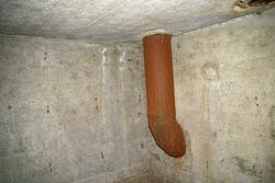 IMG_1585