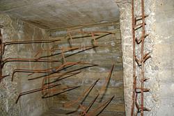 IMG_1771