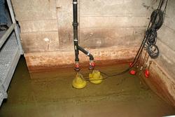 IMG_1571