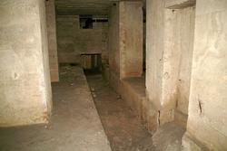 IMG_1737