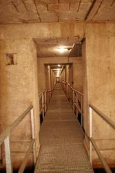 IMG_1666