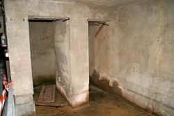 IMG_1649
