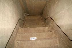 IMG_1629