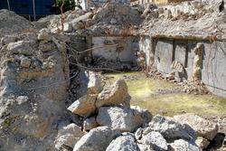 IMG_3881
