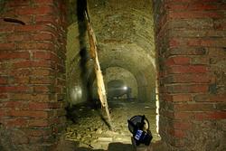 IMG_2203