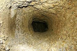 IMG_2241