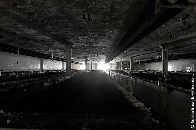 100_8049.jpg
