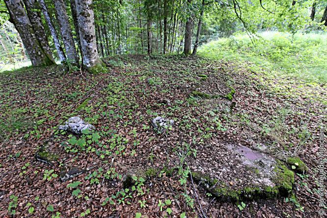 105_4629.jpg