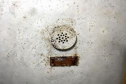 IMG_9590