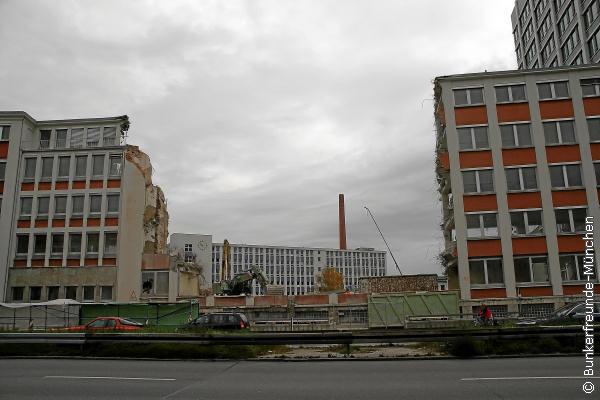 IMG_6589