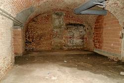 IMG_6887