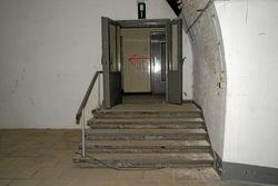IMG_6907