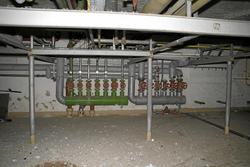 IMG_6868