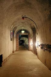IMG_6218.jpg