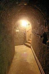 IMG_6304.jpg