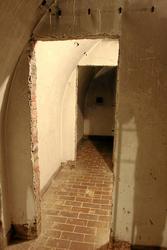 IMG_6336.jpg