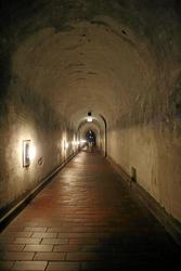 IMG_6367.jpg