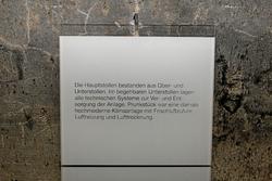 IMG_6385.jpg
