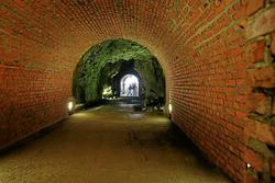 IMG_6394.jpg