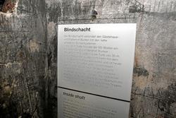 IMG_6402.jpg