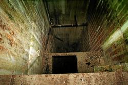 IMG_6422.jpg