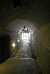 IMG_6501.jpg