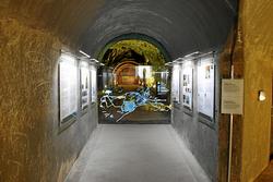 IMG_6149.jpg