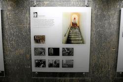 IMG_6159.jpg