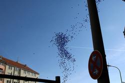 IMG_4140