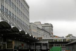 IMG_6339