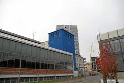 IMG_6295