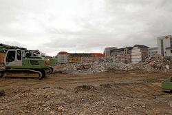 IMG_4522