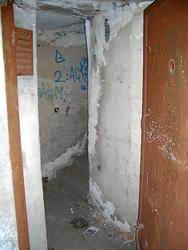 CIMG1294.jpg