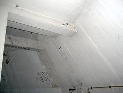 CIMG1281.jpg