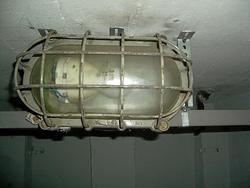 CIMG1287.jpg